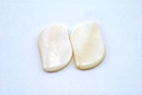 Perlmutt Welle gross 33 x 20 x 4 mm perlmutt weiss